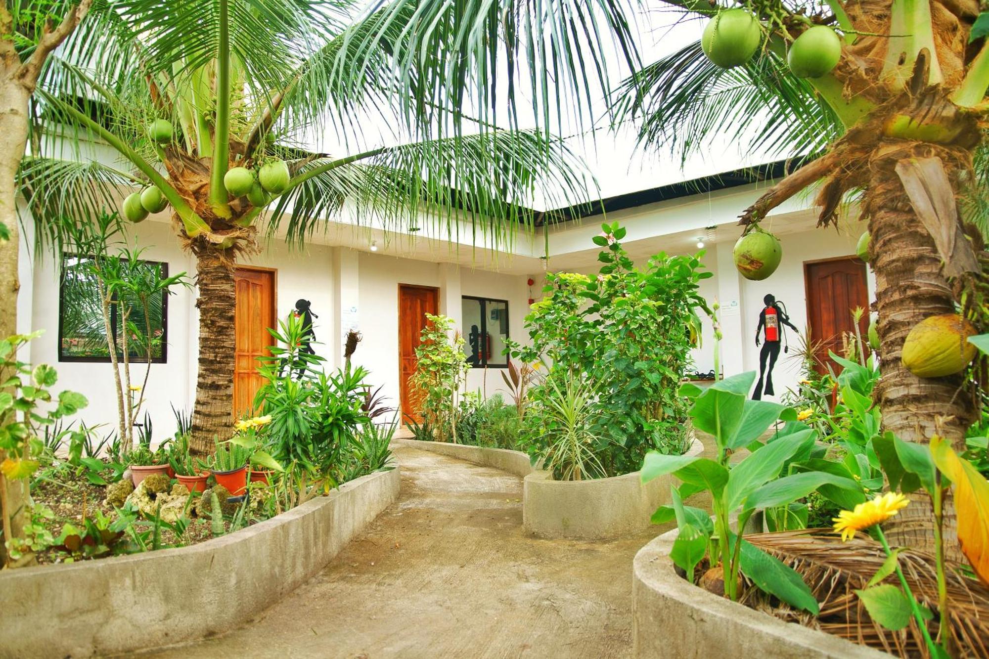 Ananas Guesthouse Moalboal Ngoại thất bức ảnh