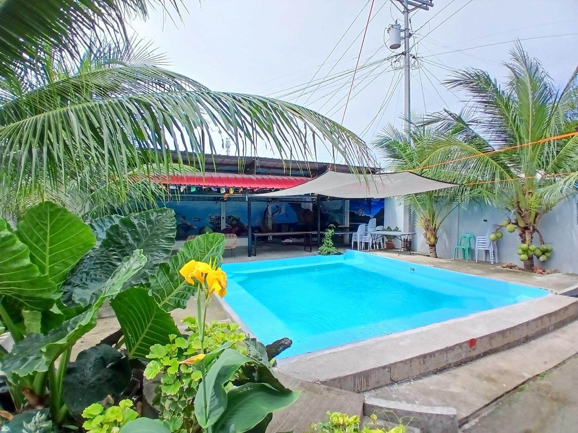 Ananas Guesthouse Moalboal Ngoại thất bức ảnh