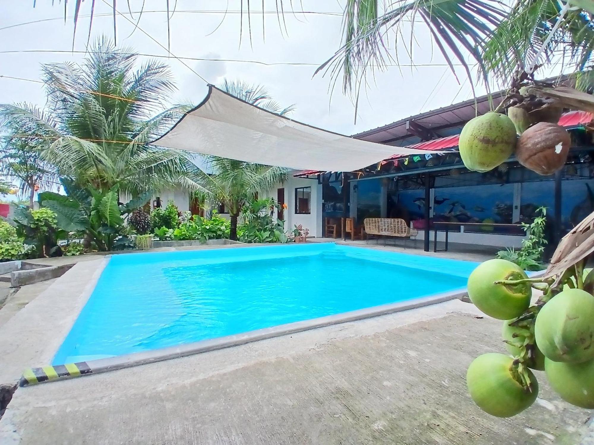 Ananas Guesthouse Moalboal Ngoại thất bức ảnh