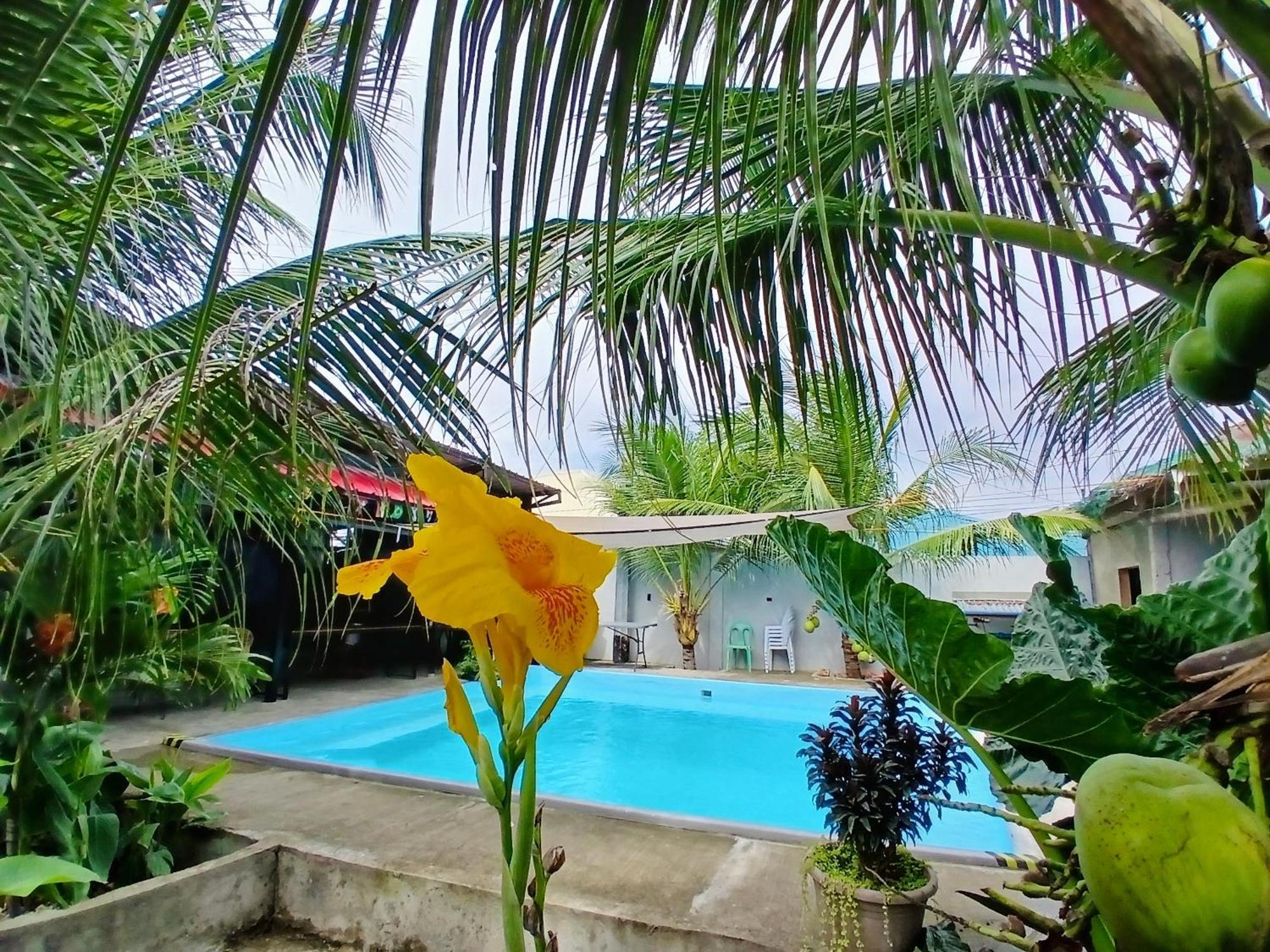 Ananas Guesthouse Moalboal Ngoại thất bức ảnh