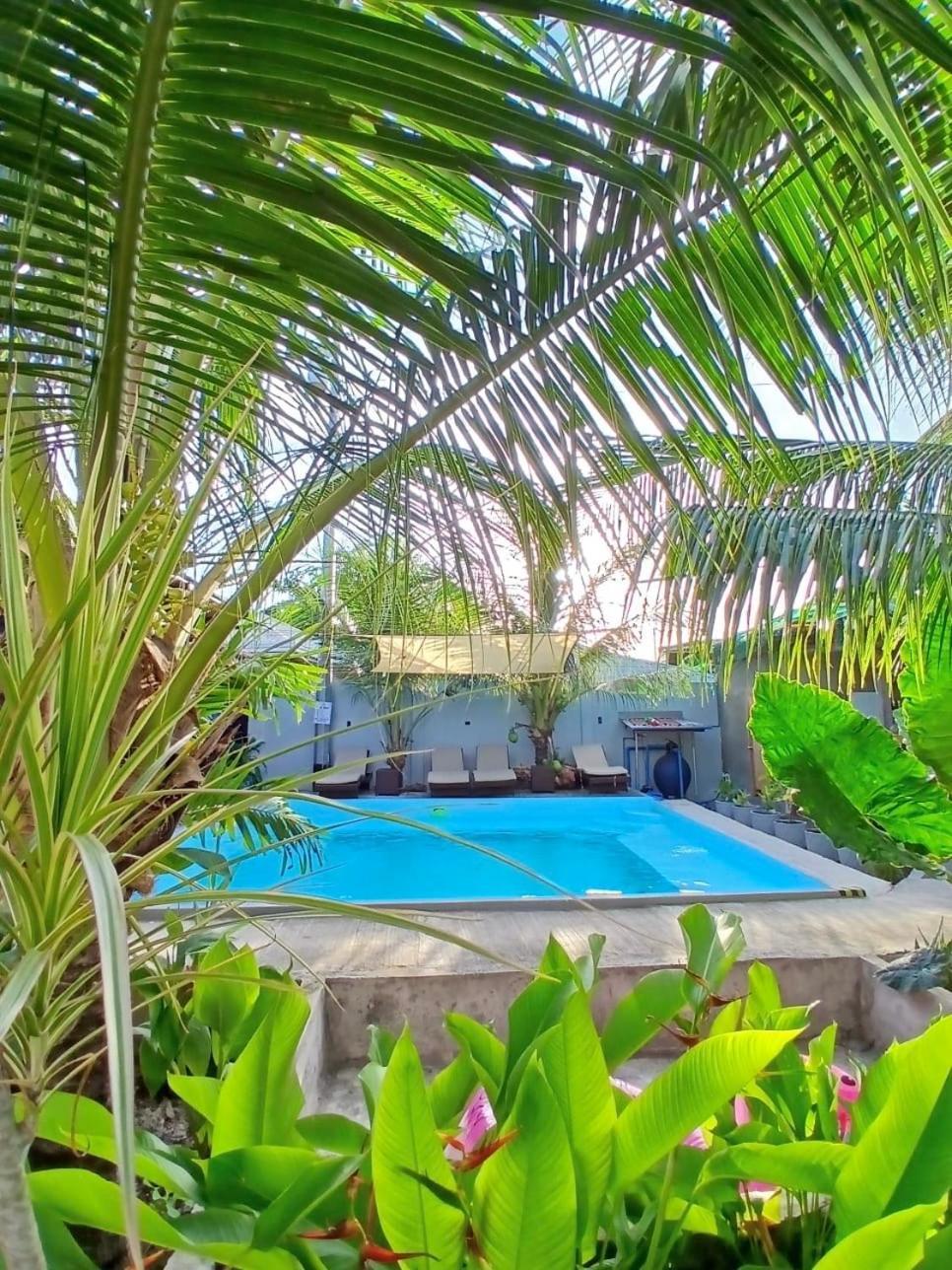 Ananas Guesthouse Moalboal Ngoại thất bức ảnh