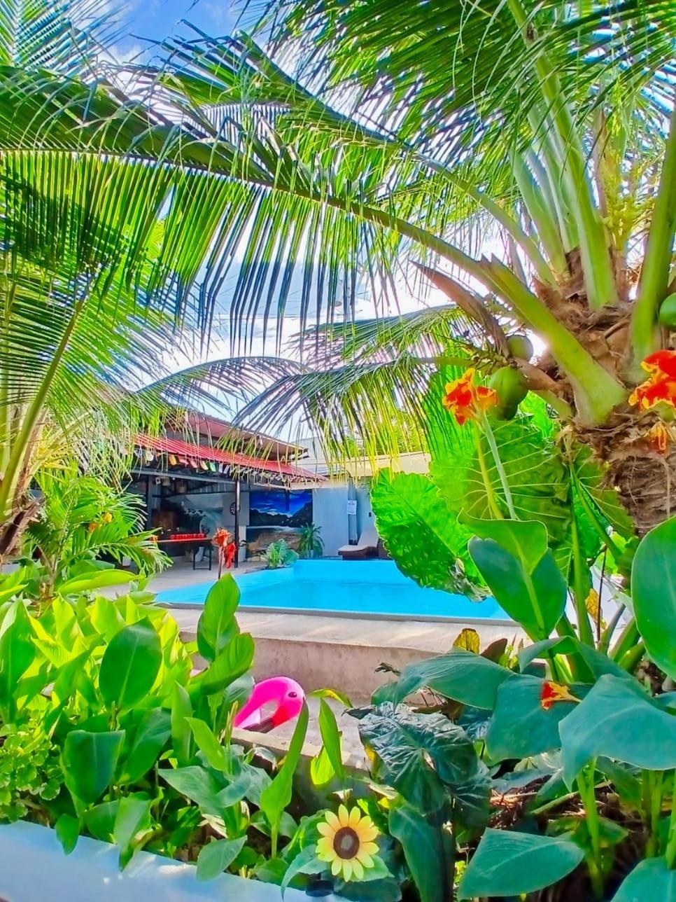 Ananas Guesthouse Moalboal Ngoại thất bức ảnh