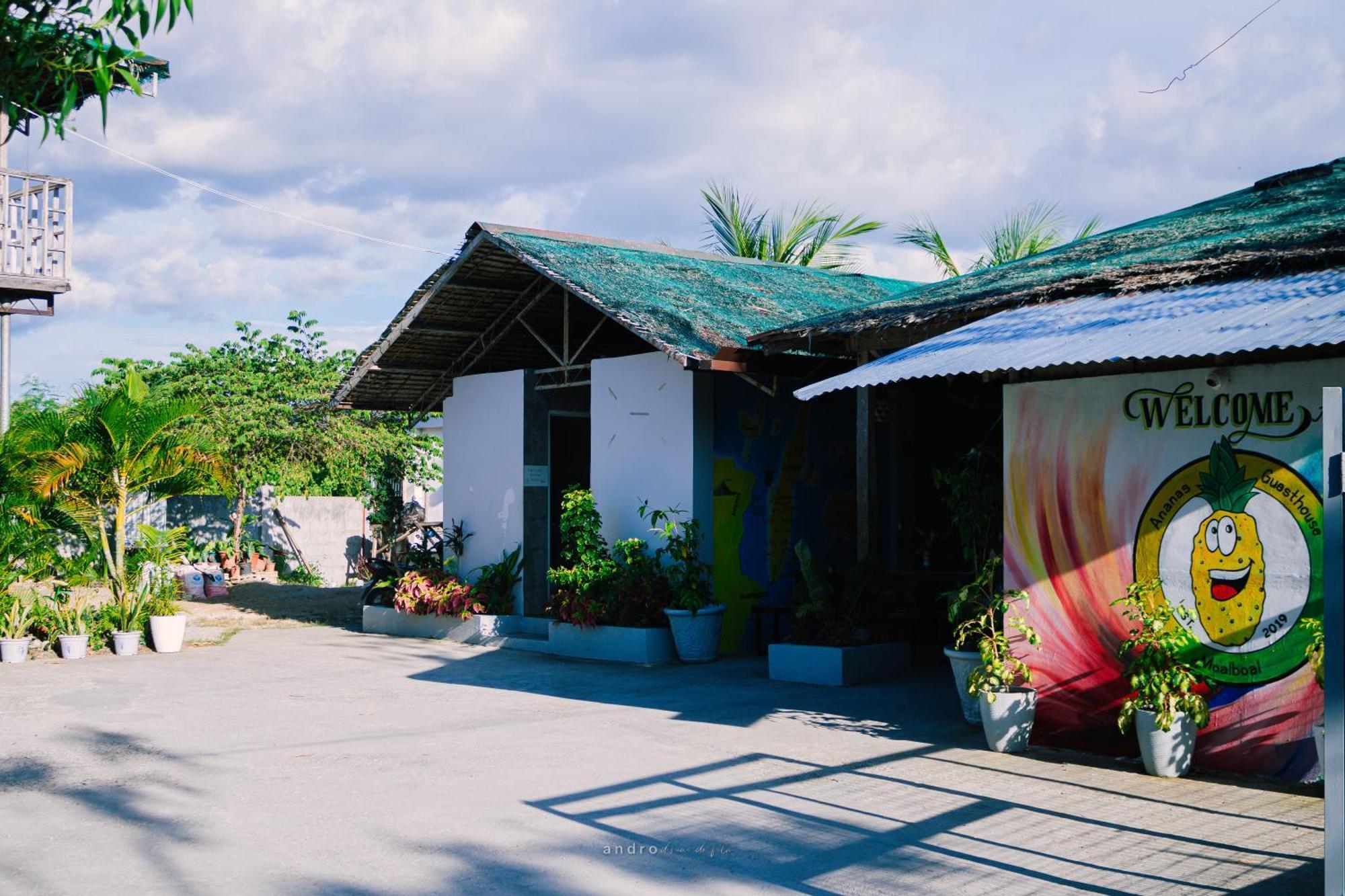 Ananas Guesthouse Moalboal Ngoại thất bức ảnh