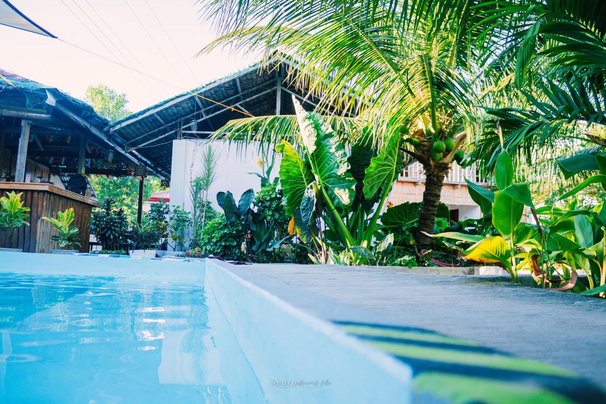 Ananas Guesthouse Moalboal Ngoại thất bức ảnh
